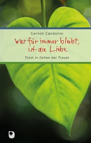 Cover von Was für immer bleibt, ist die Liebe