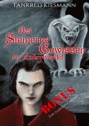 Cover von Das steinerne Gewissen im Zeitenwandel