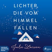 Cover von Lichter, die vom Himmel fallen