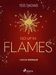 Cover von Go up in Flames