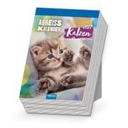 Cover von Katzen 2027