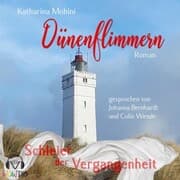 Cover von Dünenflimmern