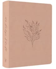 Cover von Schlachter LIEBEZURBIBEL Blush