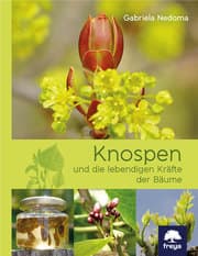 Cover von Knospen