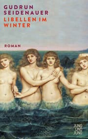 Cover von Libellen im Winter