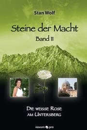 Cover von Steine der Macht - Band 11