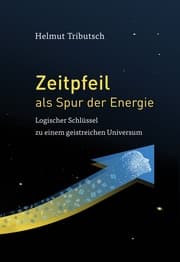 Cover von Zeitpfeil als Spur der Energie