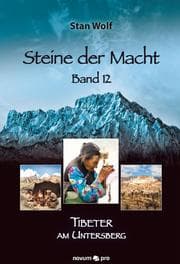 Cover von Steine der Macht - Band 12