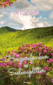 Cover von Herzensfunken und Seelensplitter