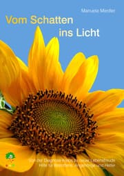 Cover von Vom Schatten ins Licht