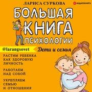 Cover von The Big Book of Psychology: Children and Family