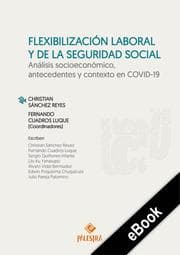 Cover von Flexibilización laboral y de la seguridad social
