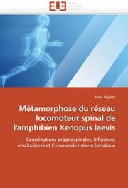 Cover von Métamorphose du réseau locomoteur spinal de l''amphibien Xenopus laevis