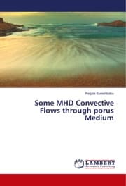 Cover von Some MHD Convective Flows through porus Medium