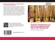 Cover von Capital Intelectual en los Invernaderos del Valle del Mezquital