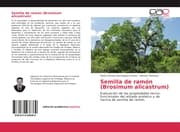 Cover von Semilla de ramón (Brosimum alicastrum)