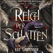Cover von Dunkle Seelen 5 - Dark Fantasy Hörbuch