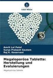 Cover von Megaloporöse Tablette: Herstellung und Evaluierungen