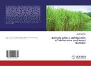 Cover von Burning and co-combustion of herbaceous and wood biomass