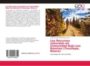Cover von Los Recursos naturales en Comunidad Bajo Los Ramírez (Teustepe, Boaco)