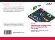 Cover von Panorama en lesiones por accidentes de tránsito