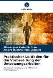 Cover von Praktischer Leitfaden für die Vorbereitung der Umsetzungsarbeiten