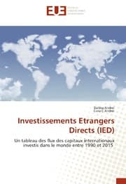Cover von Investissements Etrangers Directs (IED)