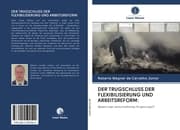 Cover von DER TRUGSCHLUSS DER FLEXIBILISIERUNG UND ARBEITSREFORM: