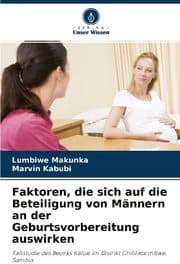 Cover von Faktoren, die sich auf die Beteiligung von Männern an der Geburtsvorbereitung auswirken