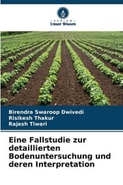 Cover von Eine Fallstudie zur detaillierten Bodenuntersuchung und deren Interpretation