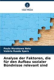 Cover von Analyse der Faktoren, die für den Aufbau sozialer Bündnisse relevant sind