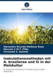 Cover von Inokulationsmethoden mit A. brasilense und Si in der Maiskultur