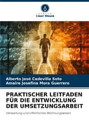 Cover von PRAKTISCHER LEITFADEN FÜR DIE ENTWICKLUNG DER UMSETZUNGSARBEIT