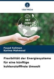 Cover von Flexibilität der Energiesysteme für eine künftige kohlenstofffreie Umwelt