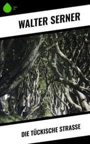 Cover von Die tückische Straße