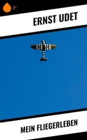 Cover von Mein Fliegerleben