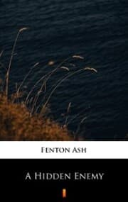 Cover von A Hidden Enemy