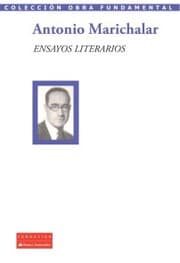 Cover von Ensayos literarios