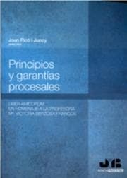 Cover von Principios y garantías procesales