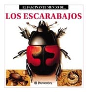 Cover von Los Escarabajos