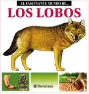 Cover von Los Lobos