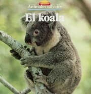 Cover von El koala
