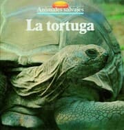 Cover von La tortuga