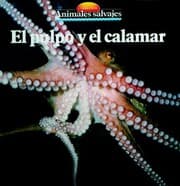 Cover von El pulpo y el calamar
