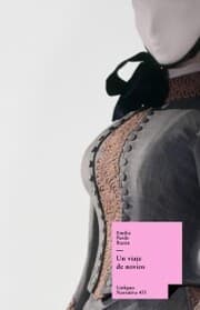 Cover von Un viaje de novios