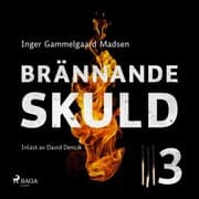 Cover von Brännande skuld: Del 3