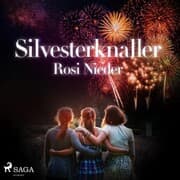 Cover von Silvesterknaller - Vulkanausbruch in der Eifel 2010/11 (Ungekürzt)