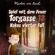Cover von Spiel mit dem Feuer. Torgasse 12 - Kukus vierter Fall