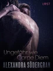 Cover von Ungefähr wie Carpe Diem: Erotische Novelle