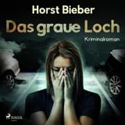 Cover von Das graue Loch (Ungekürzt)